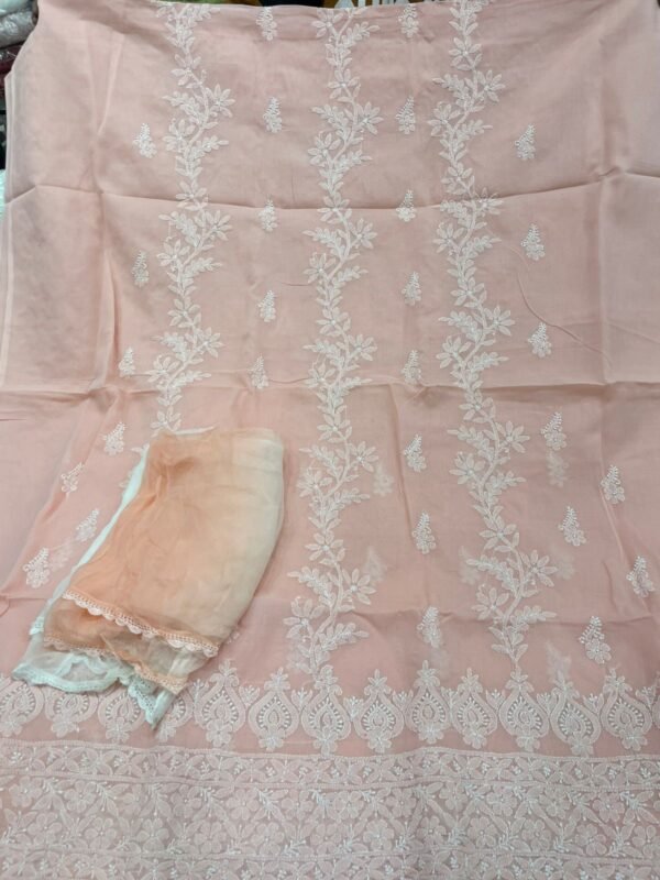 Chikankari Cotton - Image 18