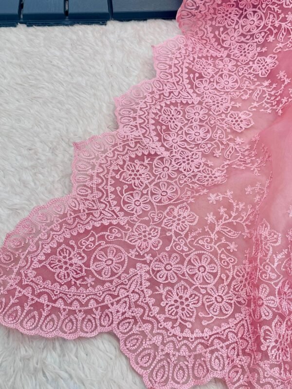Organza Saree - Image 9