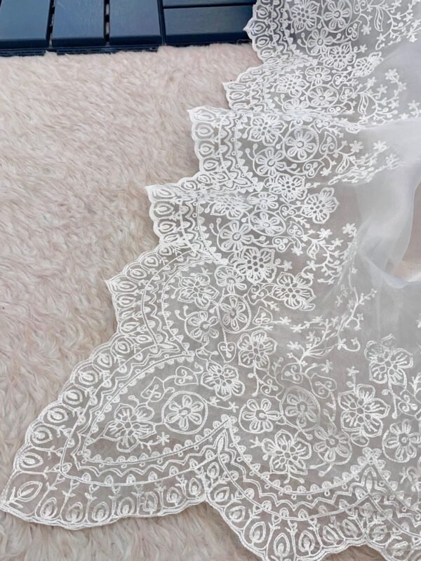 Organza Saree - Image 7