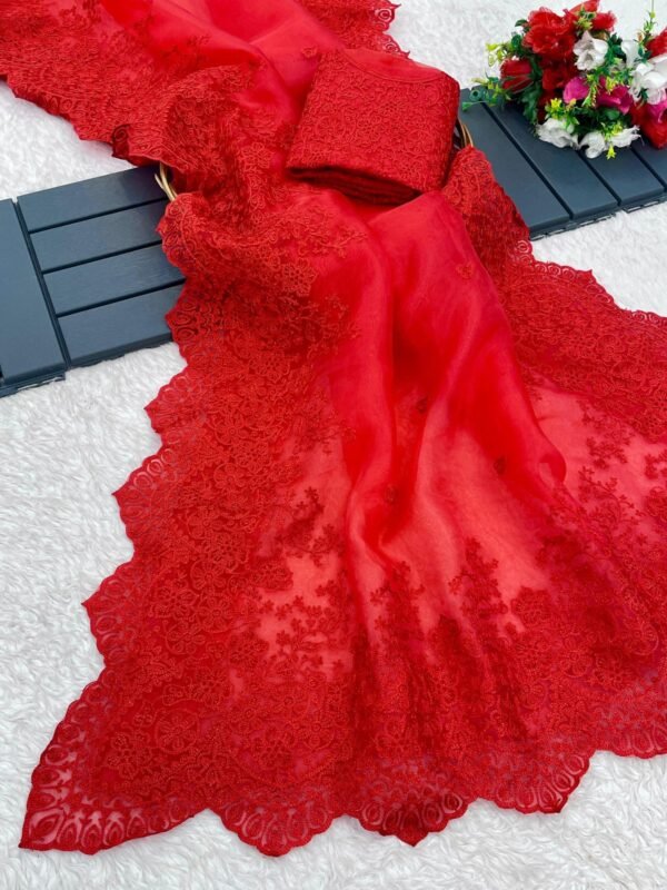 Organza Saree - Image 6