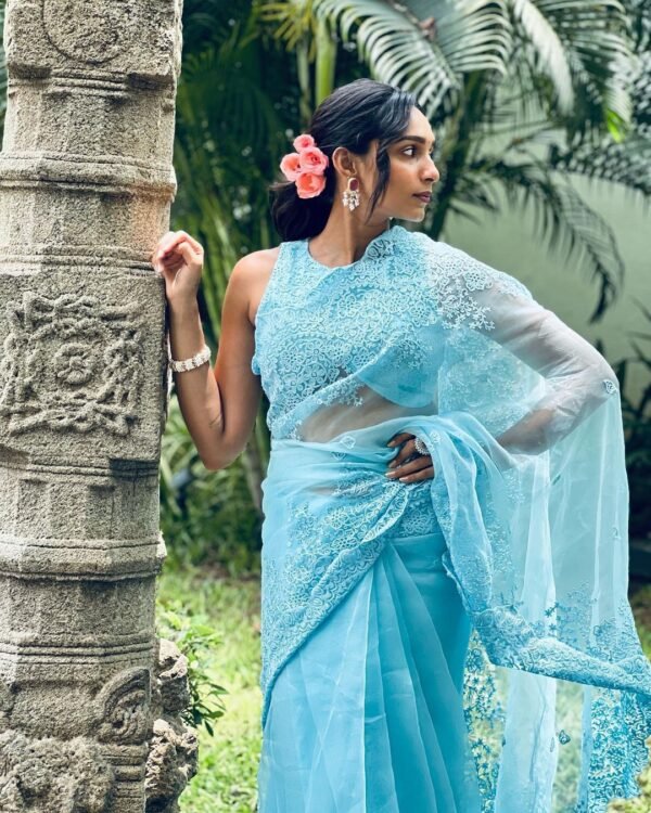 Organza Saree - Image 4