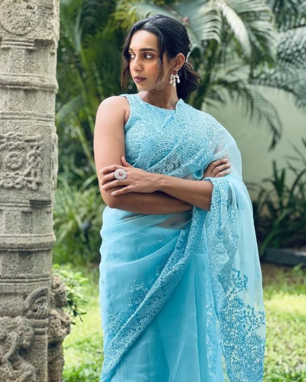 Organza Saree - Image 3