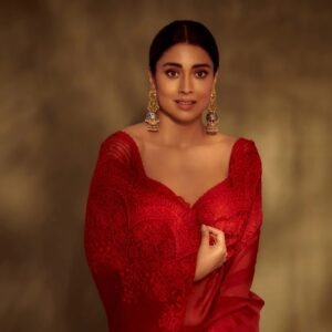 Organza Saree